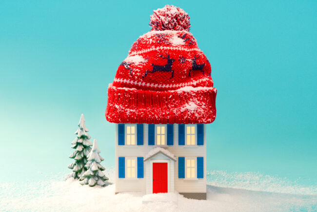 fake house with a winter hat on top