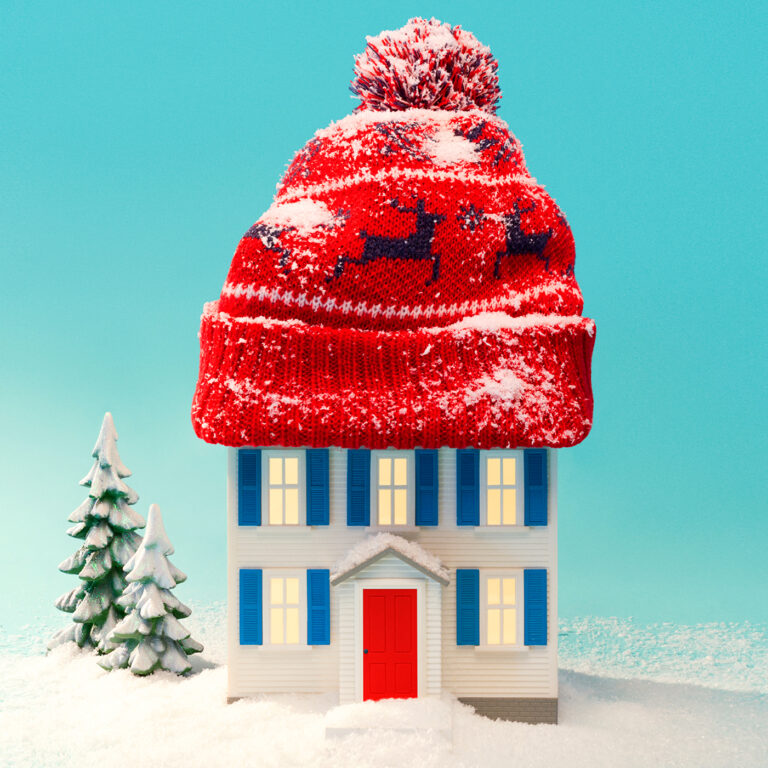 fake house with a winter hat on top